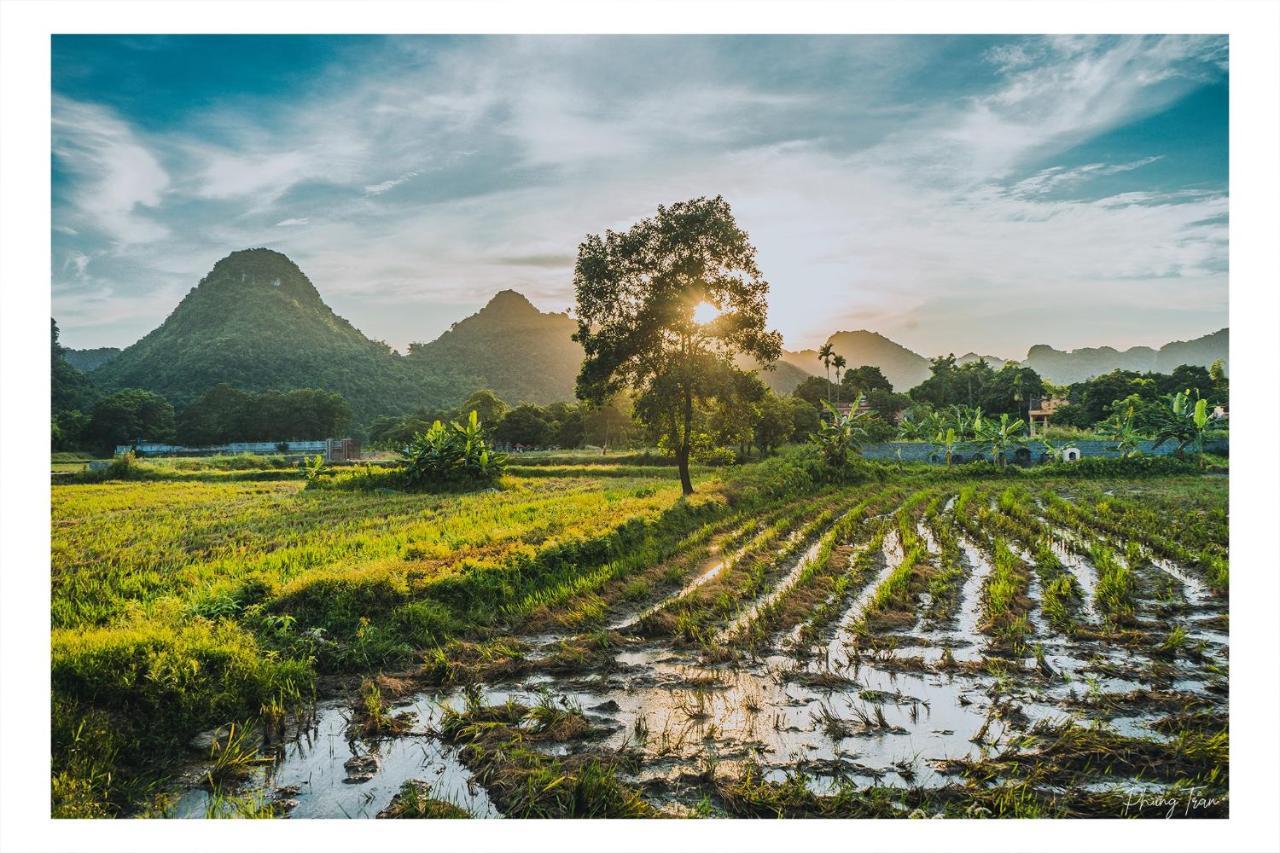 An Thái Homestay&Bar Ninh Binh Exterior foto